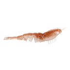 Translucent tan unrigged shrimp lure with dark speckles, white legs, and tail fins