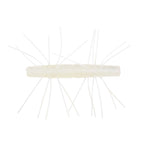 Fuzzy soft fishing bait with pale cream body and translucent white hair strands