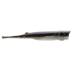 Red-speckled silver shad soft plastic lure with dark mottled top and slim tail