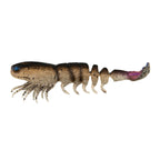 Soft prawn fishing lure, dark brown speckled body with translucent legs