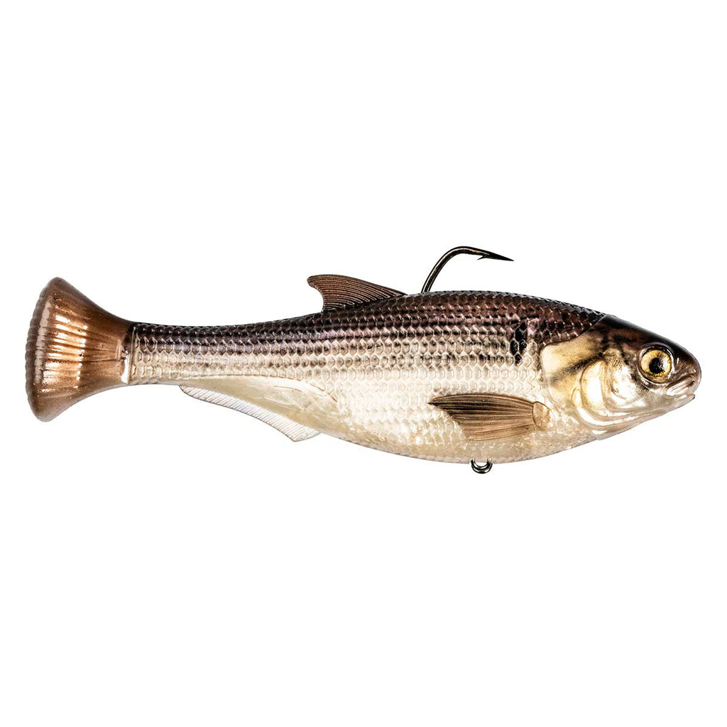 Shadtron LT fish-shaped fishing lure with tan-white belly, brown back, and rear hook