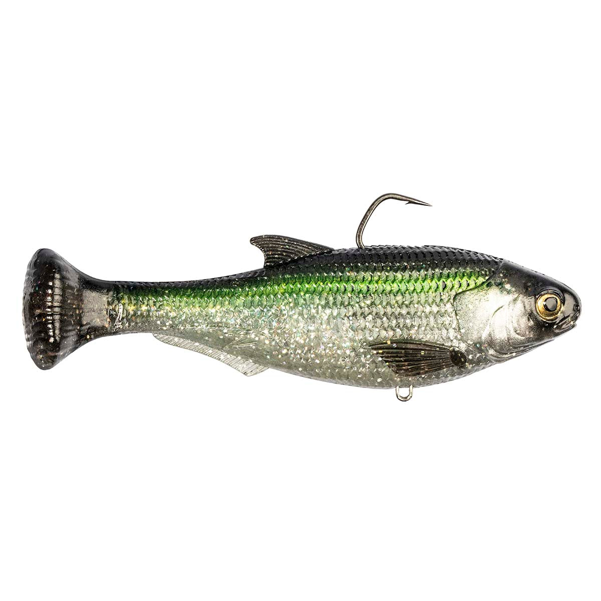 Shadtron LT fish-shaped fishing lure with green back, silver belly, and rear hook